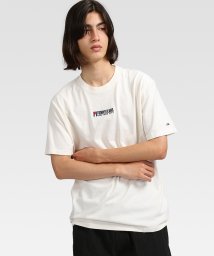 TOMMY JEANS(トミージーンズ)/ターンフラッグエンブロイダリーTシャツ/ホワイト