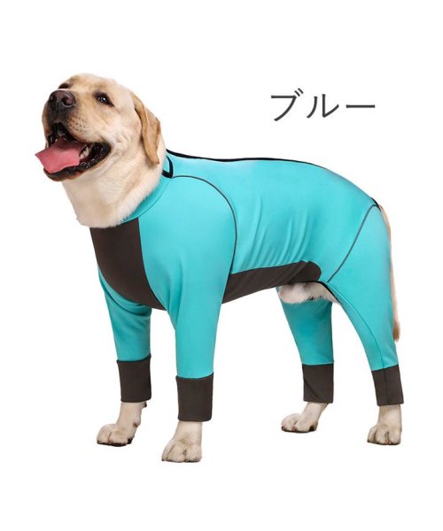 HAPPY DOG!!(はっぴーDOG！！)/犬 服 犬服 犬の服 大型犬 つなぎ ウェットスーツ 着せやすい 背中開き ドッグウェア 【春 夏 春夏 春服 夏服 春物 夏物】【男の子 小型犬 中型犬】/ブルー