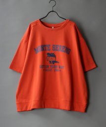 SITRY(SITRY)/【SITRY】ワイドシルエット カレッジプリント スウェット T シャツ/リンガーVネック メンズ Tシャツ 半袖/オレンジ