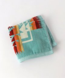 green label relaxing(グリーンレーベルリラクシング)/＜PENDLETON＞ウォッシュジャカード ハンドタオル/TURQUOISE