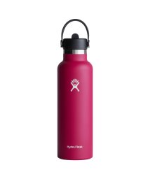 HydroFlask/ハイドロフラスク Hydro Flask 21oz マグ ボトル ステンレスボトル 水筒 魔法瓶 621ml スタンダードマウス マグボトル マイボトル 直飲み/504787961