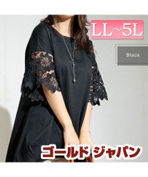 GOLD JAPAN/大きいサイズ レディース ビッグサイズ 袖モチーフレース裾タックカットソー/504794351