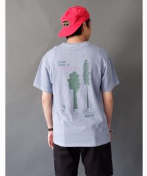 BEAVER/GRAMICCI/グラミチ　CALI TREES TEE カリツリーティー G2SU－T011/504809700