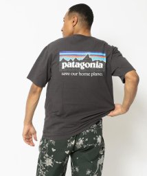 BEAVER(ビーバー)/PATAGONIA/パタゴニア　メンズ・P－6ミッション・オーガニック・Tシャツ　37529/ブラック
