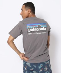 BEAVER(ビーバー)/PATAGONIA/パタゴニア　メンズ・P－6ミッション・オーガニック・Tシャツ　37529/グレー