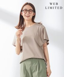 J.PRESS LADIES(J．プレス　レディス)/【WEB限定・UVケア・接触冷感】コンパクトコットンスムース フレアースリーブ カットソー/ベージュ系