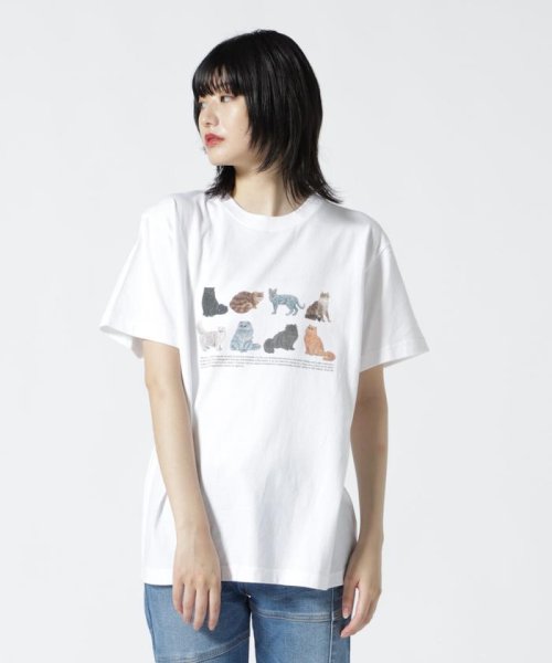 BEAVER(ビーバー)/Hub PRODUCTS/ハブプロダクツ　CAT/DOG TEE/ホワイト