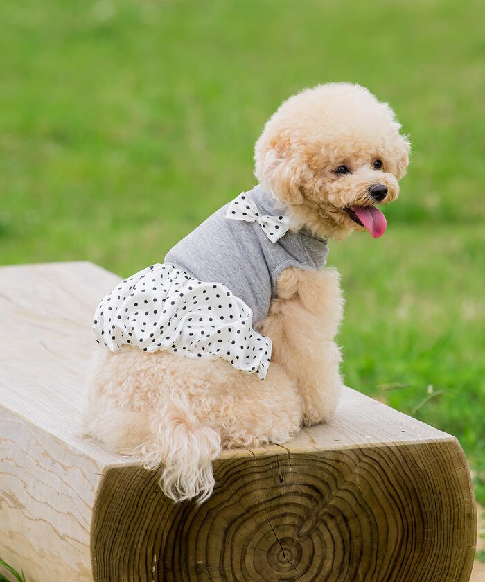 犬用ペット服 ワンピース バルーンの人気商品・通販・価格比較