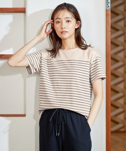 J.PRESS LADIES（LARGE SIZE）(J．プレス　レディス（大きいサイズ）)/パネルボーダー カットソー/ベージュ系1