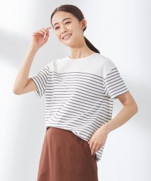 J.PRESS LADIES（LARGE SIZE）(J．プレス　レディス（大きいサイズ）)/パネルボーダー カットソー/ホワイト系1