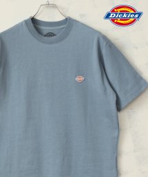 ALWAYS GOOD TIME NEW BASIC STORE(オールウェイグッドタイムニューベーシックストア)/【DICKIES/ディッキーズ】ワンポイントロゴ ミニワッペン クルーネックTシャツ/サックスブルー