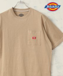 Dickies(Dickies)/【DICKIES/ディッキーズ】ワンポイントロゴ ミニワッペンポケット付き クルーネックTシャツ/ベージュ