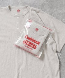 JOURNAL STANDARD(ジャーナルスタンダード)/【Healthknit×JOURNAL STANDARD】別注 ヘンリーネックTシャツ/グレーA