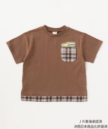 petit main(プティマイン)/【特急コラボ】チェックポケットTシャツ/モカブラウン