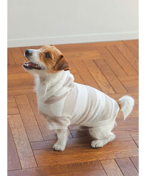 GELATOPIQUECAT & DOG 【CAT & DOG】【販路限定商品】スムーズィー2ボーダーdogパーカ BEG L GELATOPIQUECAT & DOG 【CAT & DOG】【販路限定商品】スムーズィー2ボーダーdogパーカ BEG L