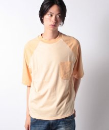 LEVI’S OUTLET/LMC SS RAGLAN TEE PORCINI/504804610