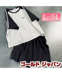 GOLD JAPAN/大きいサイズ レディース ビッグサイズ ラインTシャツ＆ハーフパンツセットアップ/504834929