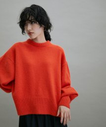 ADAM ET ROPE'(アダム　エ　ロペ)/【WEB限定(一部店舗展開あり)】FOX WOOLミックスプルオーバー/レッド（60）