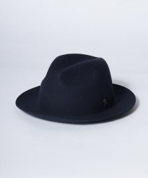 arth(arth)/arth Crashable Fedora/ネイビー