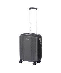 World Traveler/エース ワールドトラベラー スーツケース 機内持ち込み Sサイズ SS 34L 小さめ 軽量 静音 ACE 06951 キャリーケース キャリーバッグ/504846552
