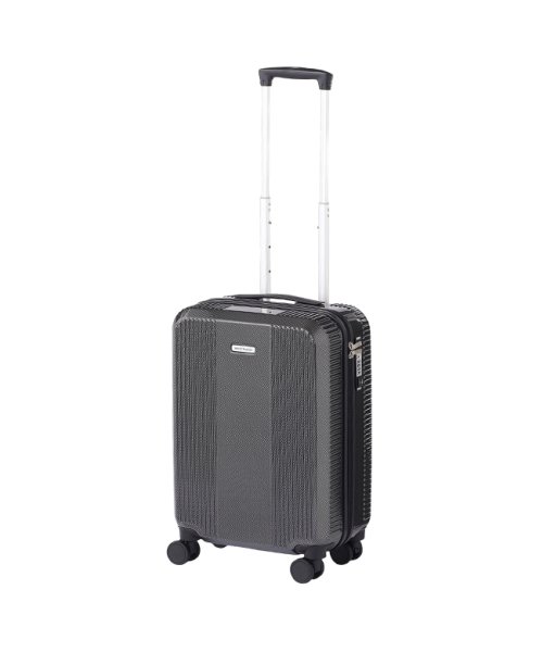 エース ワールドトラベラー スーツケース 機内持ち込み Sサイズ SS 34L 小さめ 軽量 静音 ACE 06951 キャリーケース キャリーバッグ(504846552)  ワールドトラベラー(World Traveler) MAGASEEK