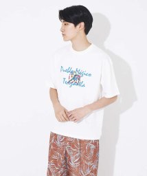 ABAHOUSE(ABAHOUSE)/バハカリフォルニア モチーフ Tシャツ/ホワイト