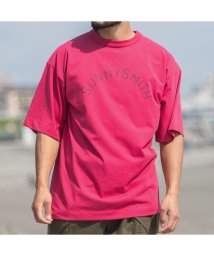 SUNNY SMITH(サニースミス)/Cool Smith Standard Arch Logo SS Tee/レッド