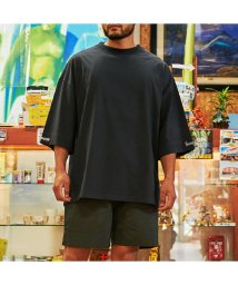 SUNNY SMITH(サニースミス)/Heavy Smith GDS Emb SS Tee/チャコールグレー