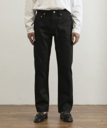 URBAN RESEARCH/スーピマ DENIM PANTSスリム #RAMONE by SHIOTA/504865330