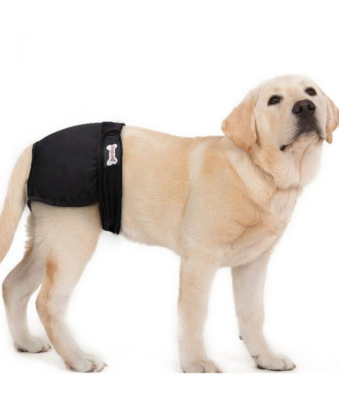 犬 おむつ メスの人気商品 通販 価格比較 価格 Com 犬 おむつ メスの人気商品 通販 価格比較 価格 Com