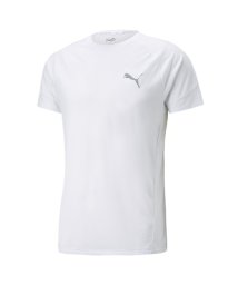 PUMA(プーマ)/メンズ EVOSTRIPE Tシャツ/PUMAWHITE