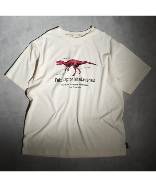 福井県立恐竜博物館コラボ 恐竜フラッシュtシャツ 大人 ブリーズ Breeze Magaseek