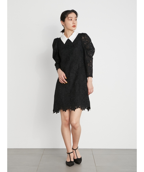 L B Brown Lily Candy Blk リリーブラウン Stock ポイントカラービジューシャツ Www Viti Cat L B Brown Lily Candy Blk リリーブラウン Stock ポイントカラービジューシャツ Www Viti Cat