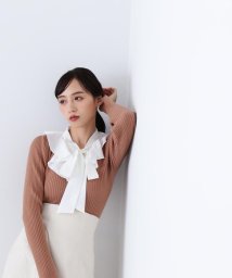 JILL by JILL STUART(ジル バイ ジル スチュアート)/◇ブラウスドッキングリブニット/ベージュ