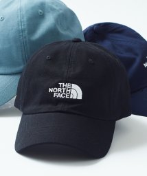 THE NORTH FACE(ザノースフェイス)/【THE NORTH FACE/ザ・ノースフェイス】NORM HAT ノームハット ロゴ キャップ NF0A3SH3/ブラック 