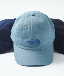 THE NORTH FACE(ザノースフェイス)/【THE NORTH FACE/ザ・ノースフェイス】NORM HAT ノームハット ロゴ キャップ NF0A3SH3/ブルー