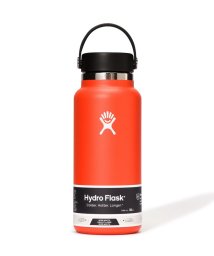 BEAVER/Hydro Flask/ハイドロフラスク　Hydration 32oz Wide Mouth ハイドレーション32ozワイドマウス ボトル/504870195