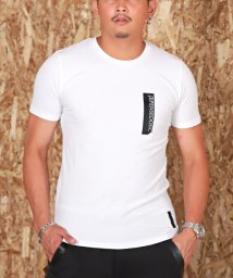 LUXSTYLE/ZIPポケット風デザインバックプリントTシャツ/Tシャツ メンズ 半袖 ロゴ プリント ジップデザイン/504890493