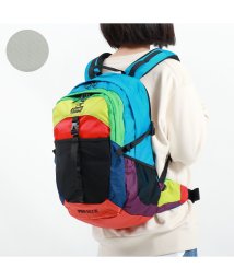 CHUMS(チャムス)/【日本正規品】CHUMS チャムス リュックサック Spring Dale 25 2 バックパック ウエストバッグ 2WAY 25L CH60－2216/その他