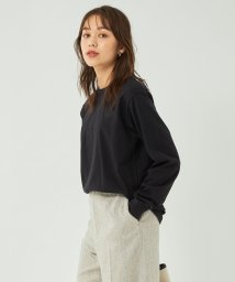 green label relaxing(グリーンレーベルリラクシング)/【WEB限定】＜ THE NORTH FACE ＞ ロングスリーブ ロゴ Tシャツ/BLACK