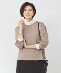 J.PRESS LADIES（LARGE SIZE）(J．プレス　レディス（大きいサイズ）)/セルロースリバー カットソー/ブラウン系