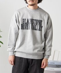 SHIPS any MEN/*SHIPS any: NATIONAL PARK プリント スウェット 23AW◇/504565124