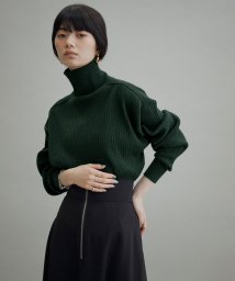 ADAM ET ROPE'(アダム　エ　ロペ)/【WEB・一部実店舗限定】WOOL混リブタートル/グリーン（30）