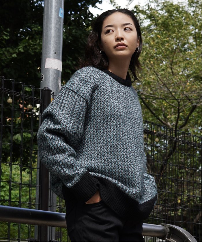 17aw FACETASM BUG MOUNTAIN COAT | angeloawards.com