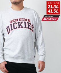 MARUKAWA(大きいサイズのマルカワ)/【GENUINE Dickies】ディッキーズ 大きいサイズ 2L 3L 4L 5L カレッジプリント スウェット 起毛 トレーナー メンズ カジュアル/オートミール