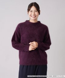 Leilian PLUS HOUSE(レリアンプラスハウス)/シャギーニットプルオーバー【Leilian The Week】/レッド系