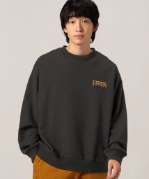 ns.b(エヌエスビー)/【VISION STREET WEAR/ヴィジョンストリートウェア】/スケボー刺繍スウエット/39チャコールグレー