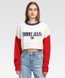 TOMMY JEANS/クロップドアーカイブセーター/504928662