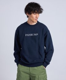 SHIPS any MEN/【SHIPS any別注】THE KNITS: <ユニセックス>カレッジ プリント 裏毛 スウェット◇/504956174