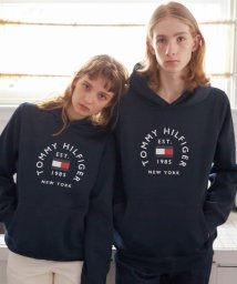 TOMMY HILFIGER(トミーヒルフィガー)/フラッグロゴアーチパーカー/ネイビー 